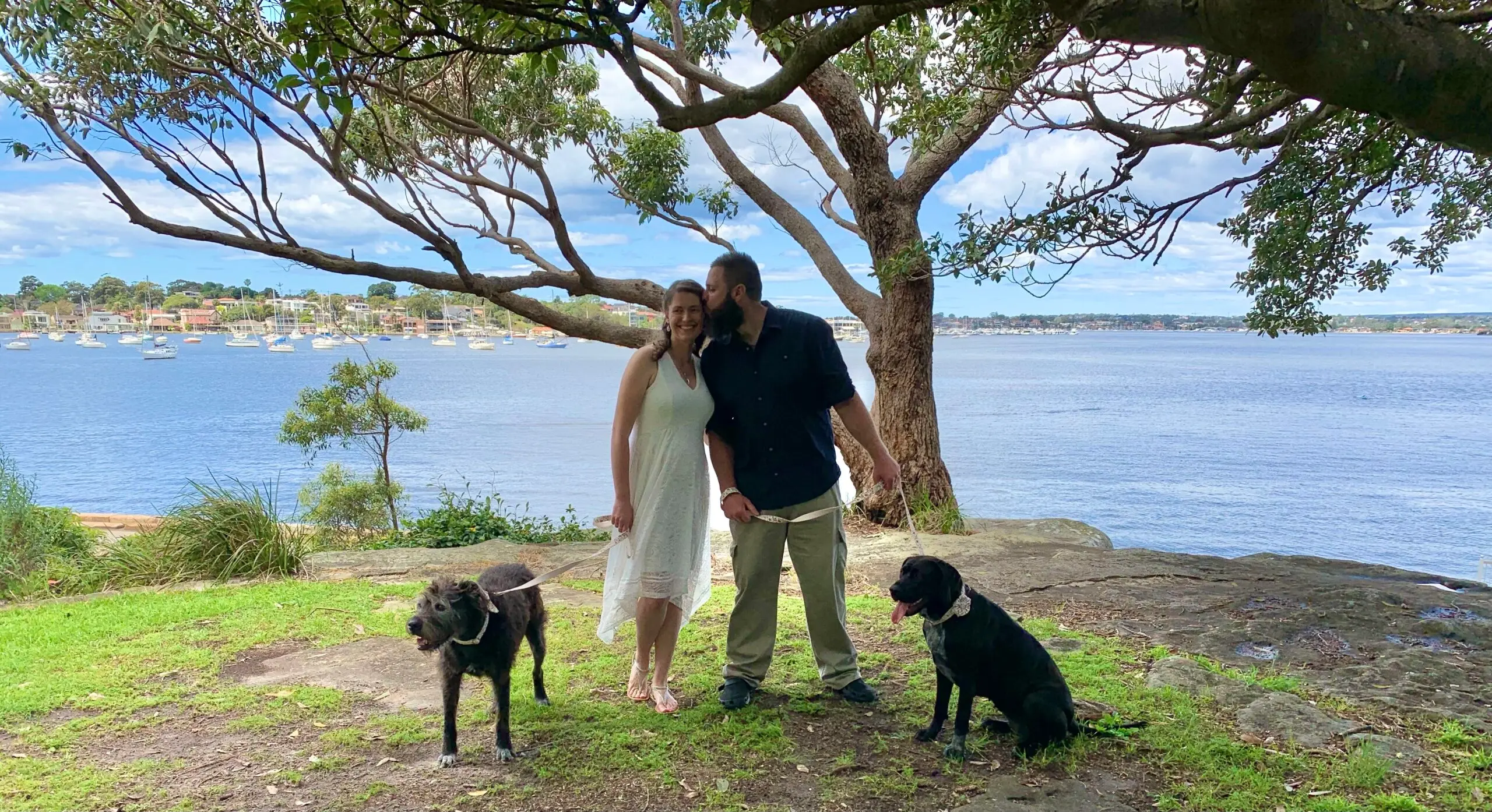 pet-friendly weddings