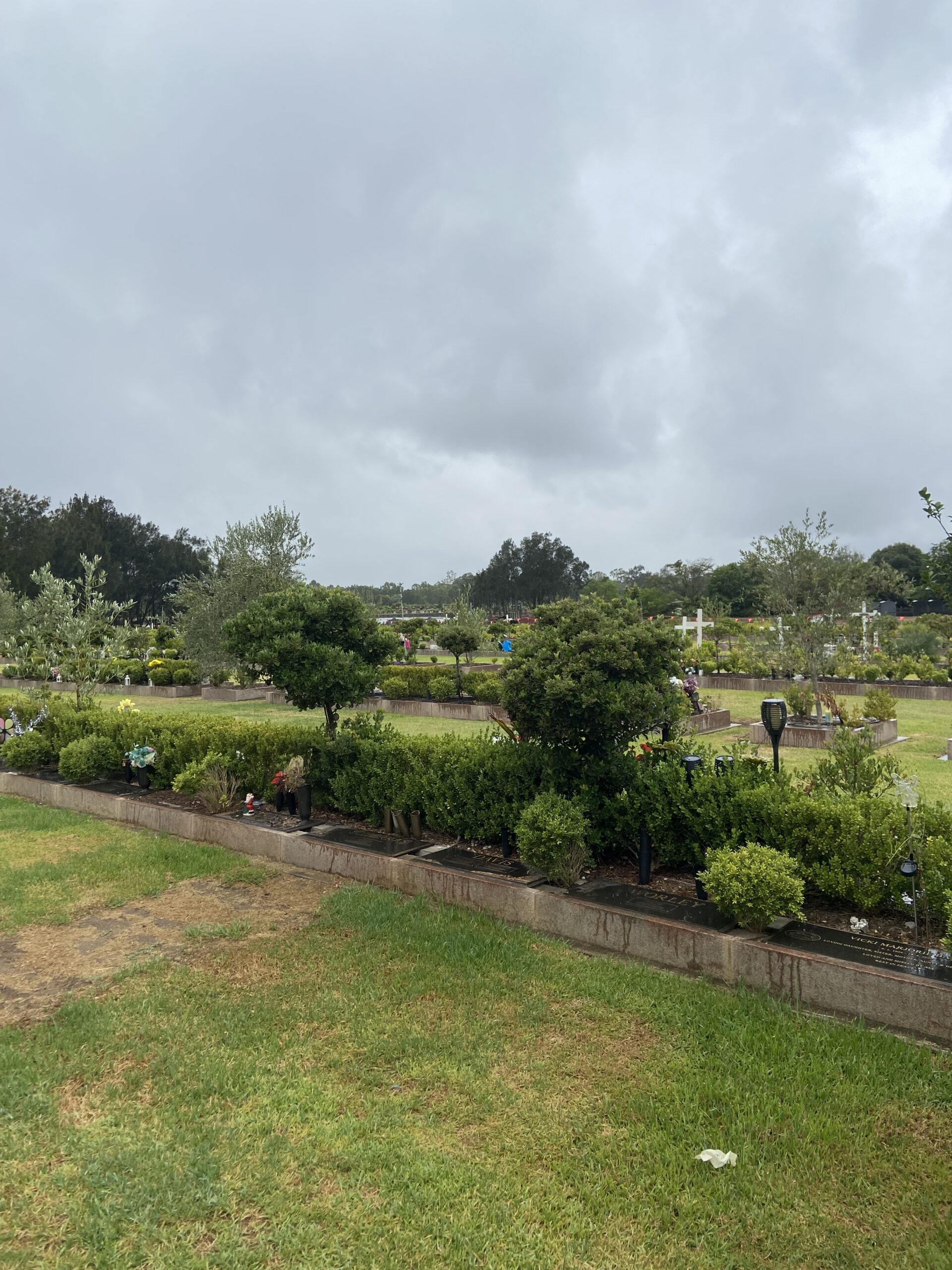 Cemetery with lawn graves