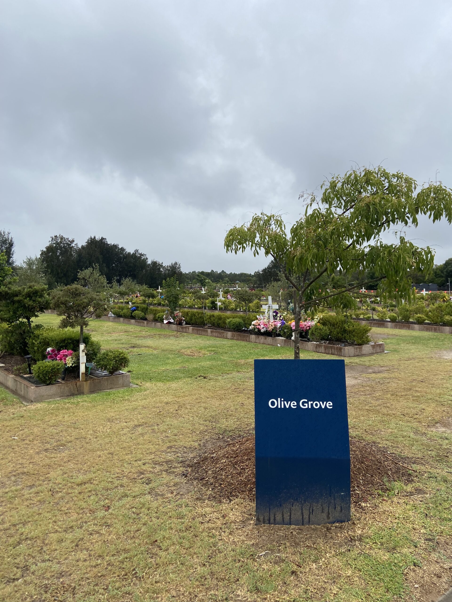 Pinegrove lawn cemetery